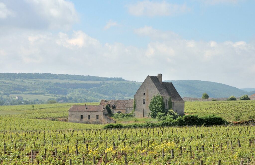 Région viticole de Bourgogne