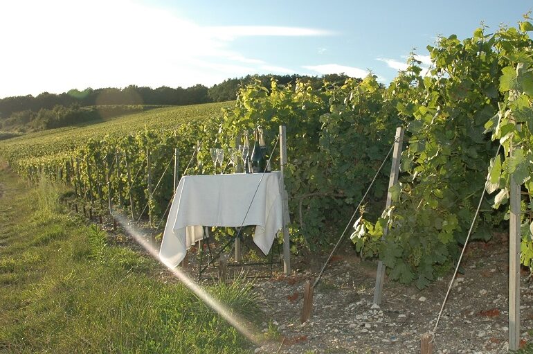 Comment préserver une bouteille de vin ou de champagne
