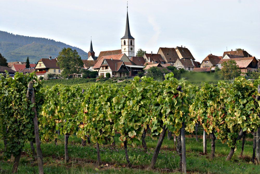 Alsace Wine Region and Vineyards