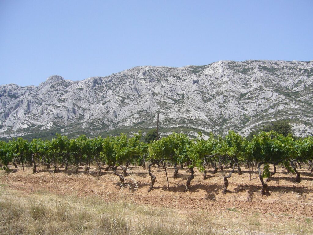 Provence Wine Region and Vineyards