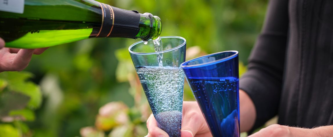 >Quelle est la différence entre Champagne et Prosecco ?