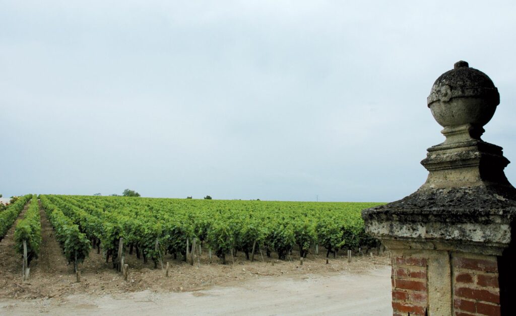 Bordeaux Wine Region and Vineyards