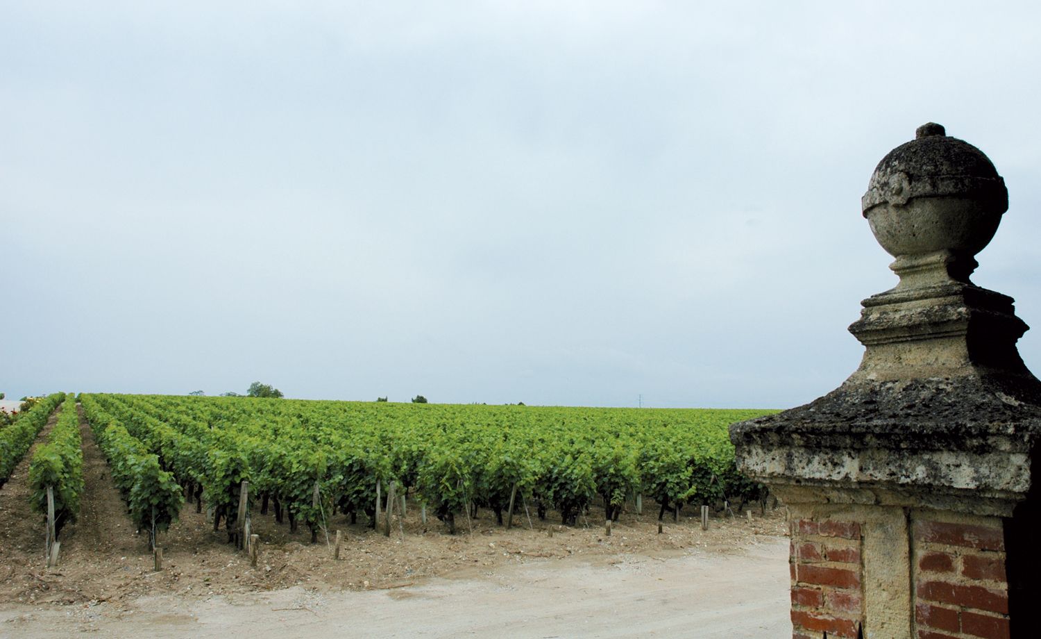 La carte des vignobles de france Découverte Séduisante 30x40 - Cartes des  vins de France