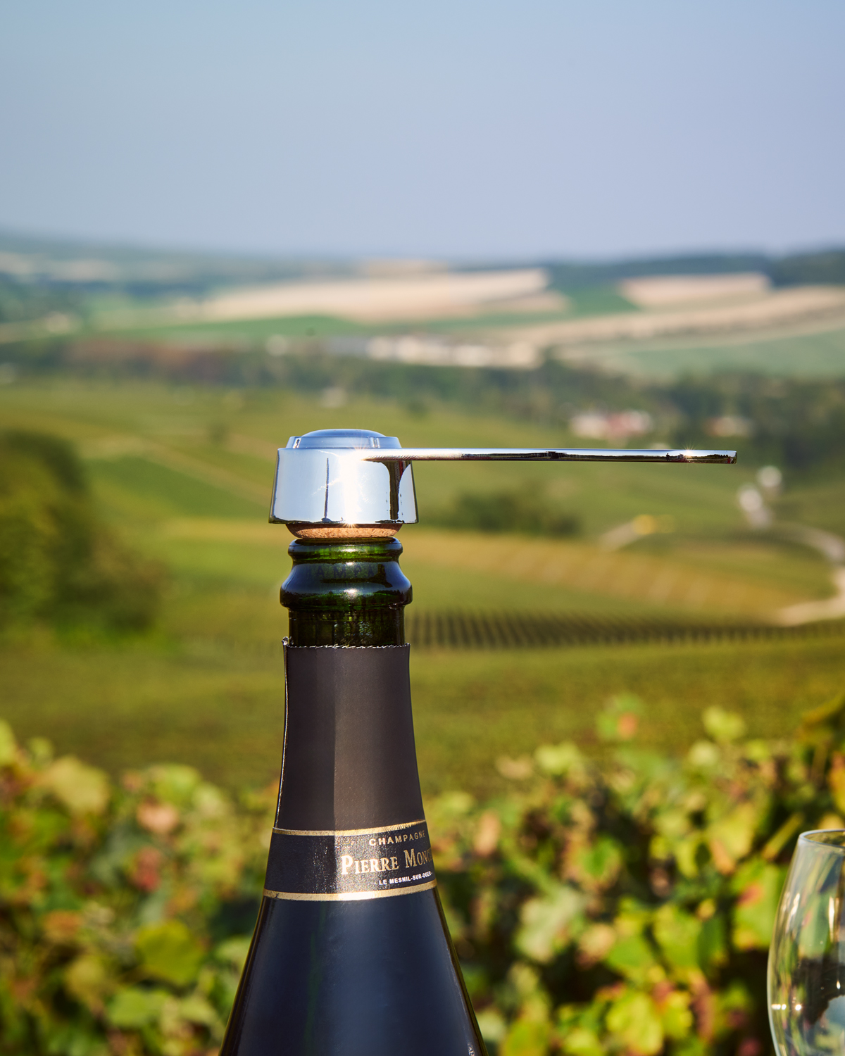 Pince à champagne sur une bouteille de champagne avec en arrière plan une vue sur les vignes