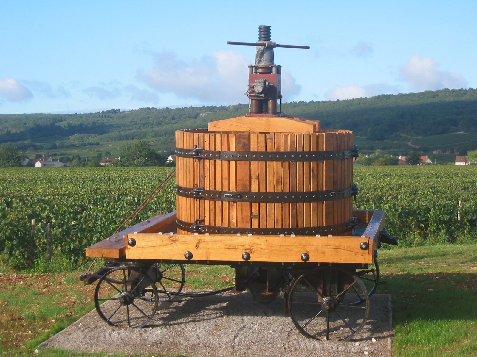 Guide de la production du vin : viticulture et vinification