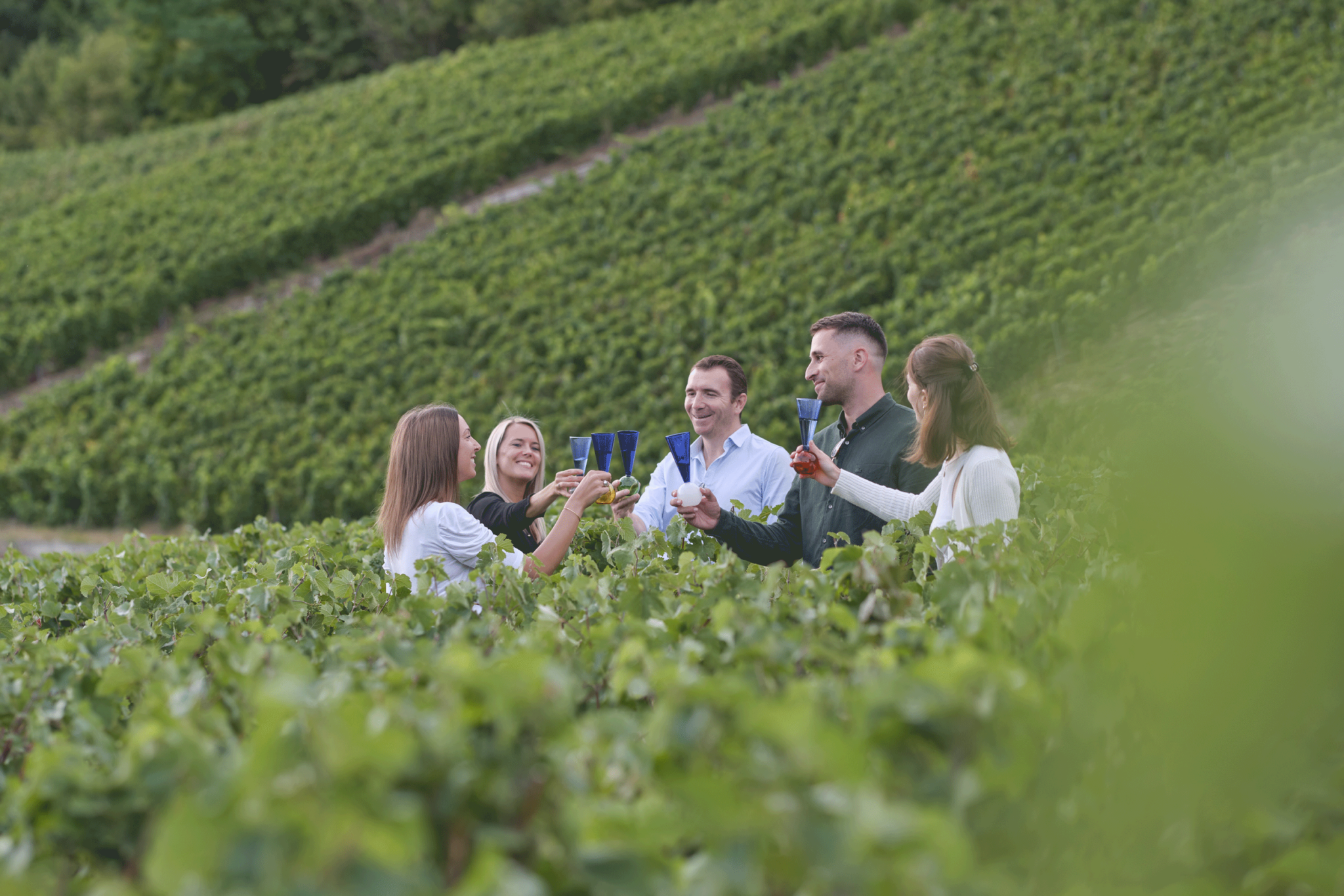 Five smiling people raising their glasses of Bubbles Celebration champagne in a sloping vineyard, celebrating a festive moment among lush vines.
