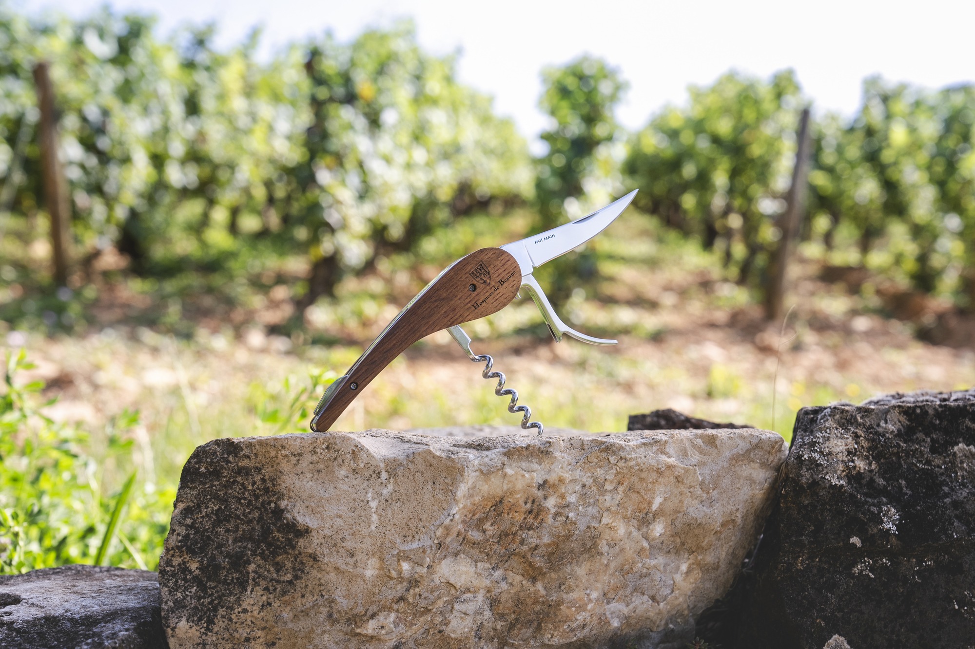 L’Atelier du Vin et la Maison Albert Bichot : la passion du savoir-faire