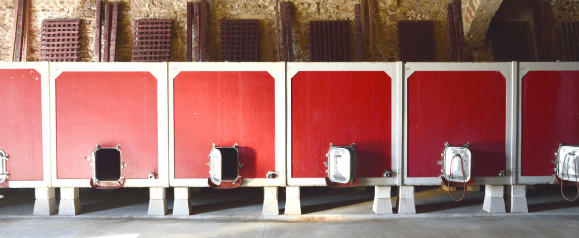 How to Produce Wine: The Winemaking Process