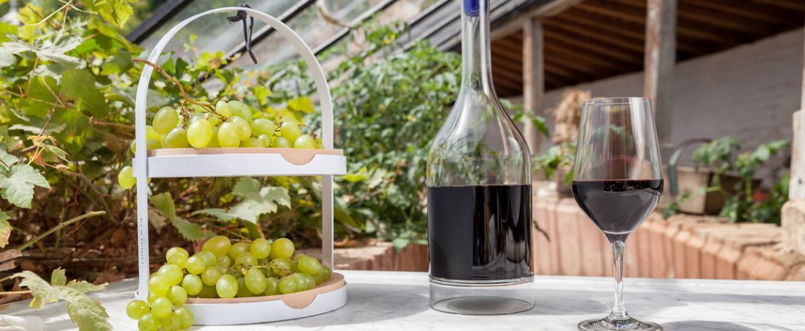 A Guide to Oenology and Wine-Tasting Glasses