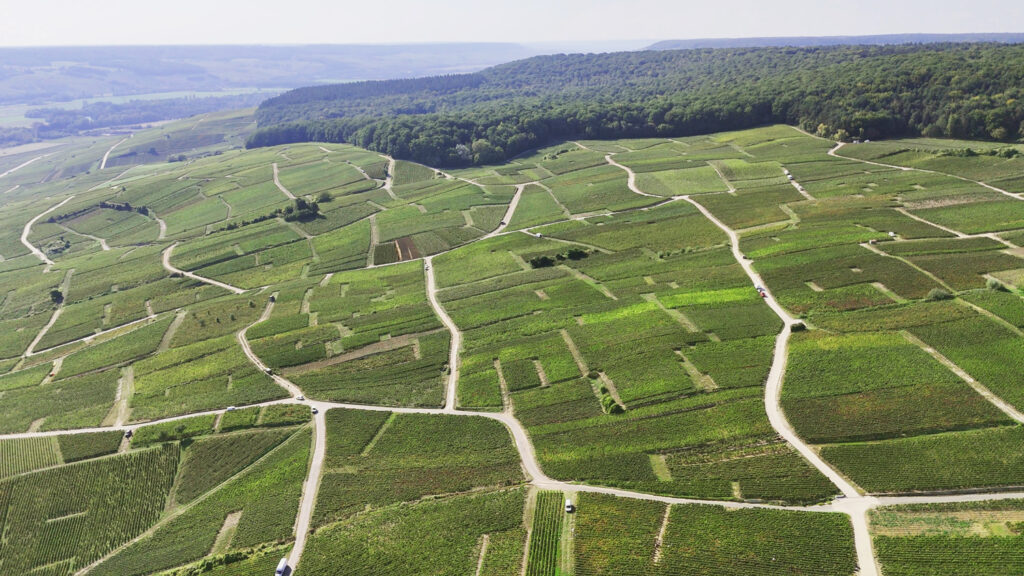 Vue aérienne d’un paysage agricole avec champs cultivés, parcelles de forêt et chemins, illustrant l’organisation du territoire viticole.