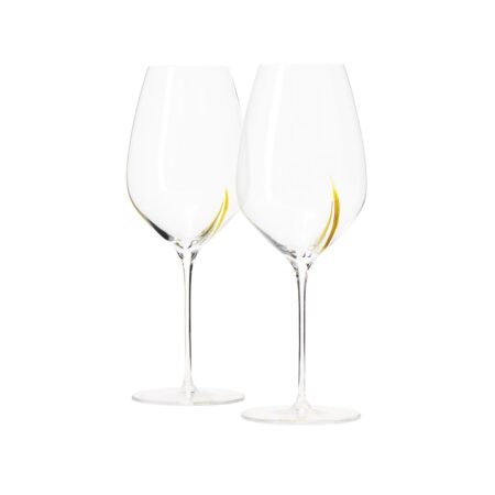 Deux verres Exploreur 655 Aroma Line Édition Centenaire avec nervure dorée